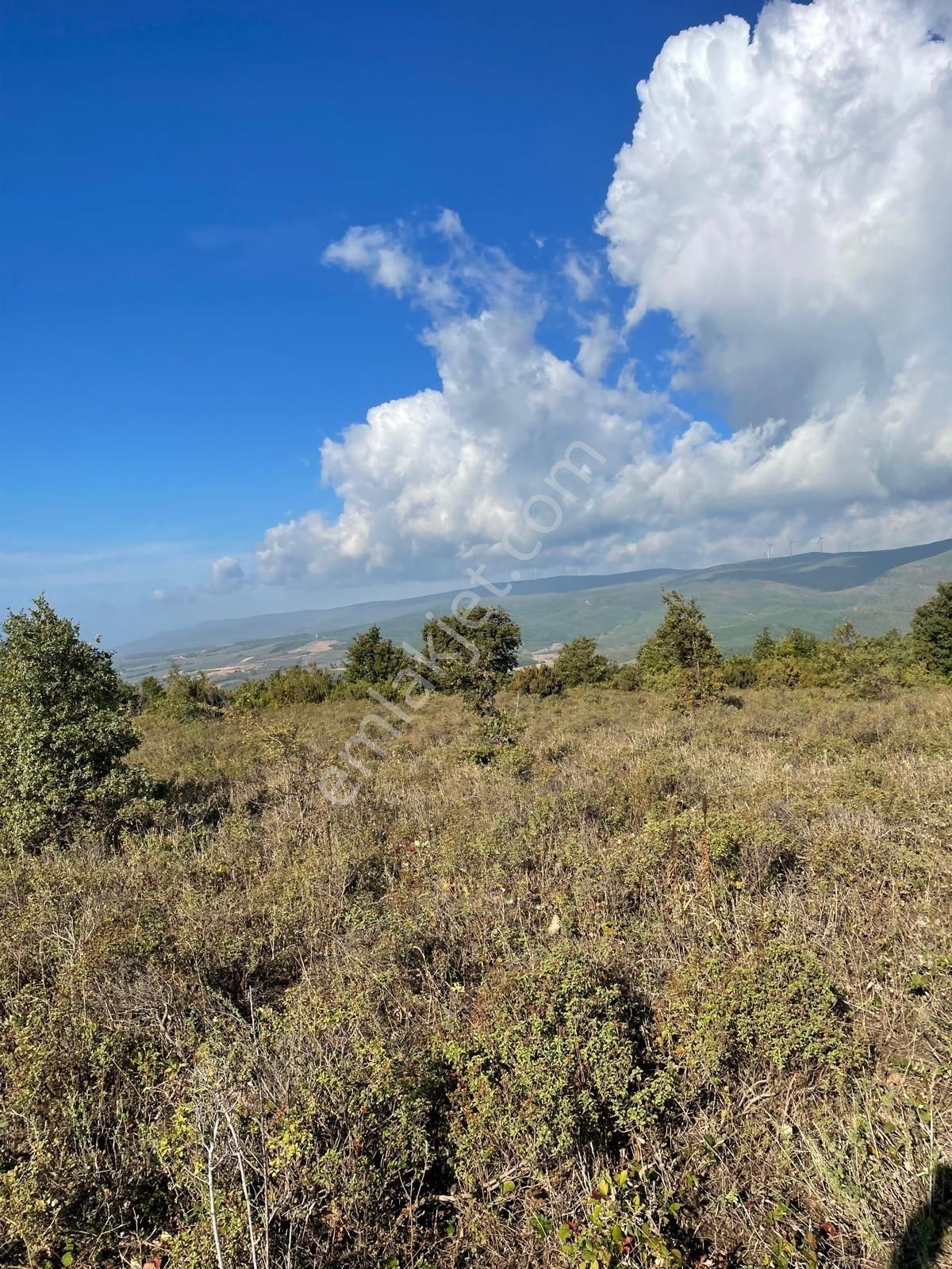 C21 Cius; Bursa/gemlik Haydariye Köyünde 21.920 M2 Satılık Tarla - Görsel 12