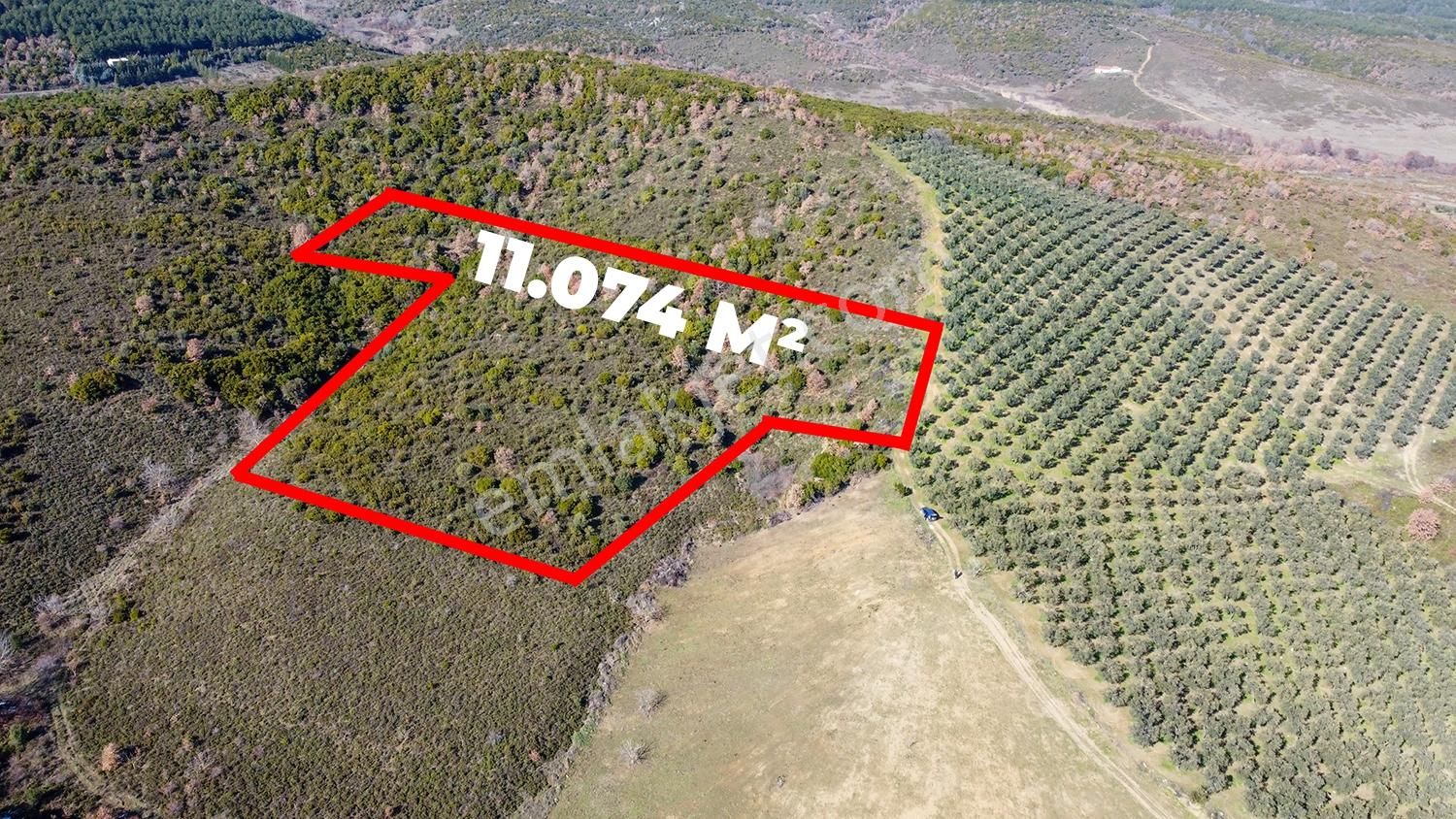 C21cius; Büyükkumla'da Yatırımlık 11,074 M2 Satılık Tarla - Görsel 4