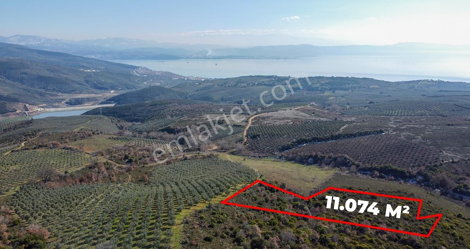 C21cius; Büyükkumla'da Yatırımlık 11,074 M2 Satılık Tarla - Görsel 6