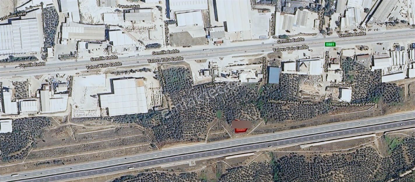 C21; Cius Umurbey'de İmar Sınırına Yakın Yatırımlık Tarla