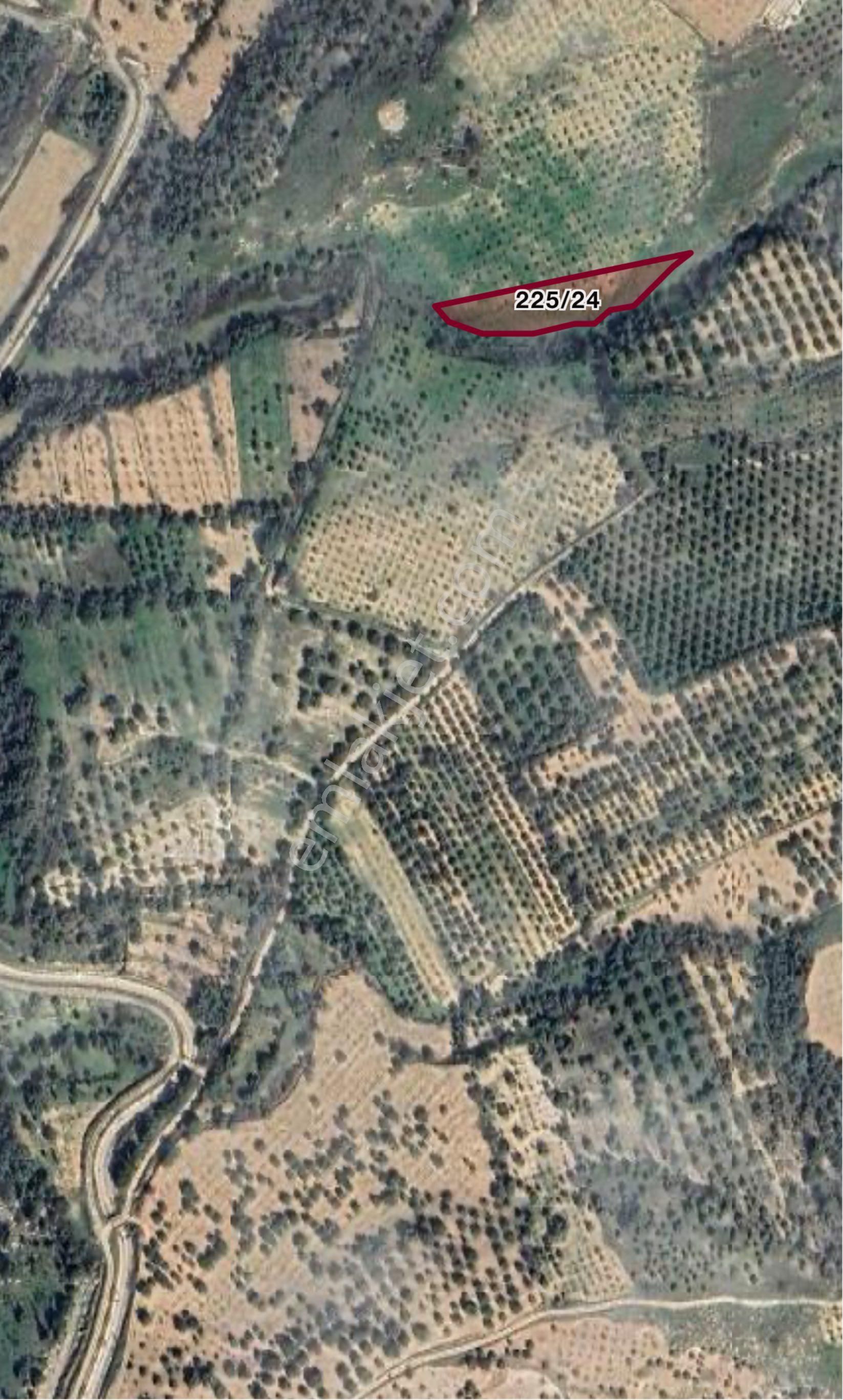 Takas Olur Fırsat Tarla İlk Gelen Alır