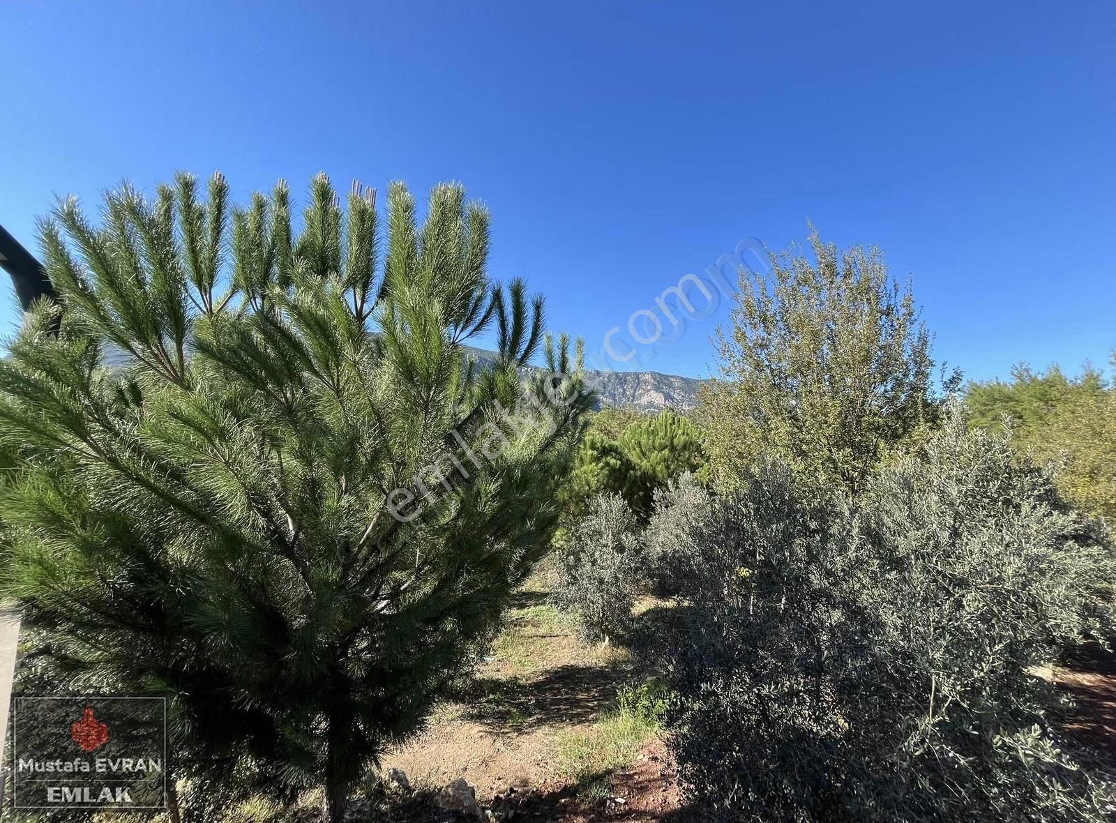 5500 Mt2 Arazi İçersinde Havuzlu Sıfır Villa - Görsel 18