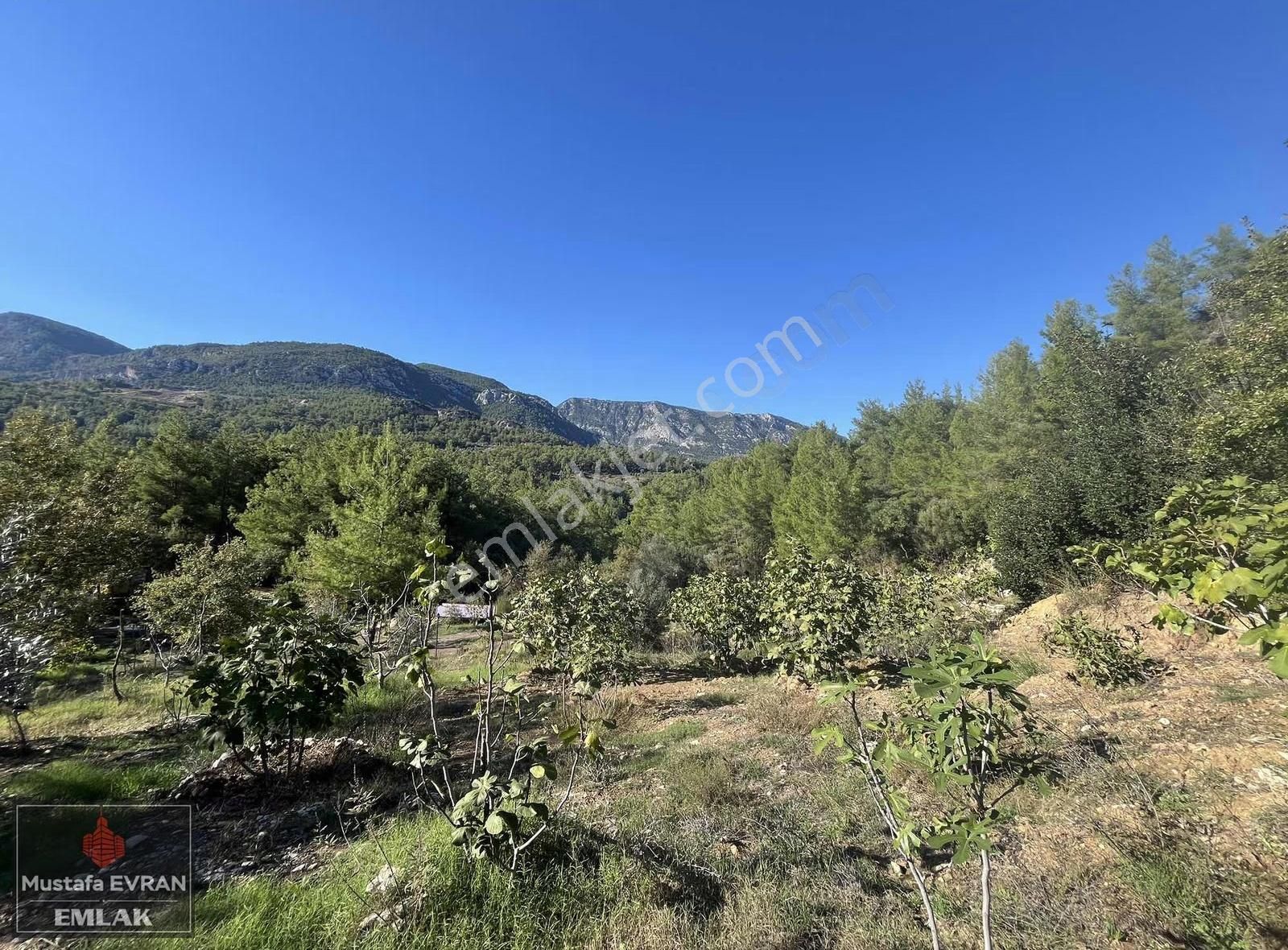 5500 Mt2 Arazi İçersinde Havuzlu Sıfır Villa - Görsel 4