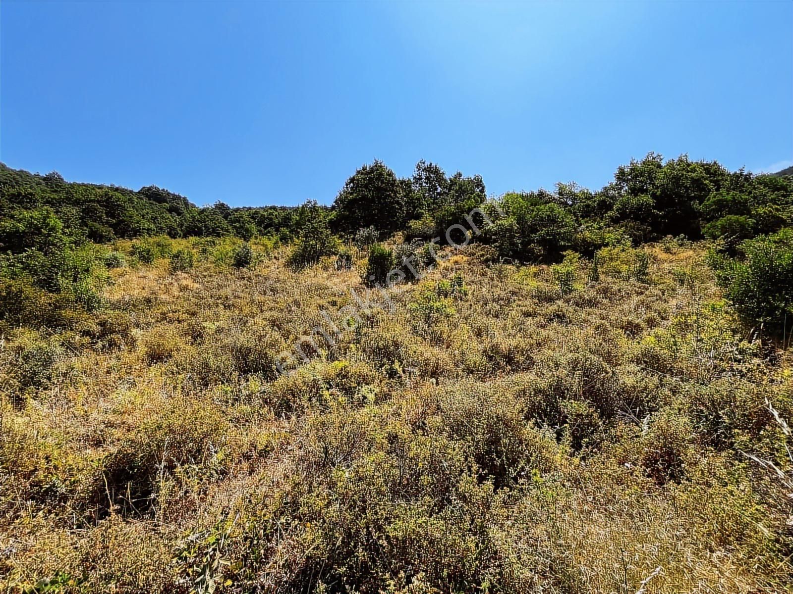 C21 Cius ; Küçük Kumla Mahallesinde 3616 M2 Satılık Tarla - Görsel 14