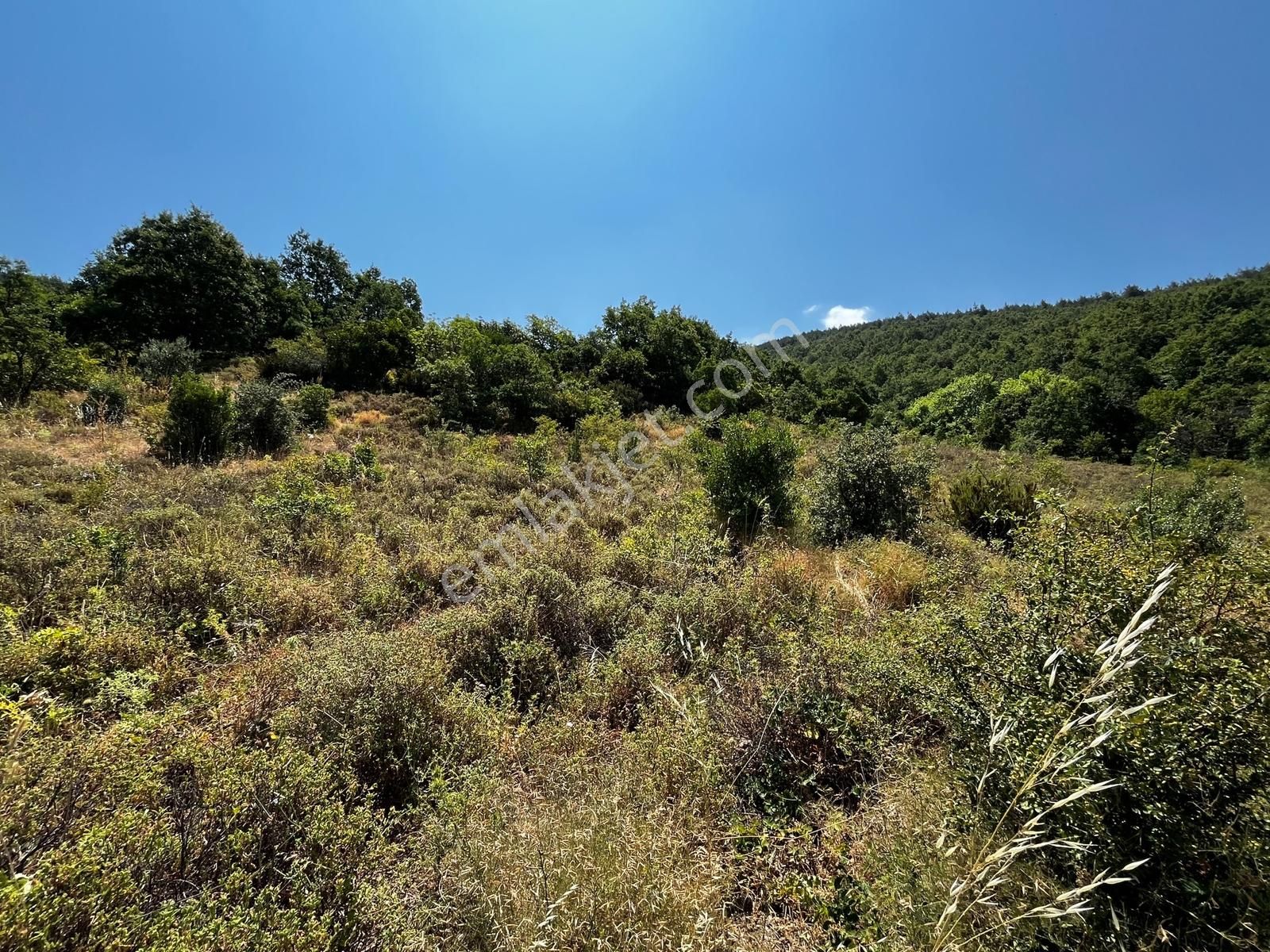 C21 Cius ; Küçük Kumla Mahallesinde 3616 M2 Satılık Tarla - Görsel 8