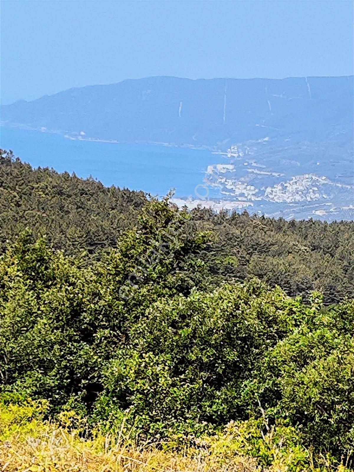 C21 Cius ; Küçük Kumla Mahallesinde 5002 M2 Satılık Tarla - Görsel 2