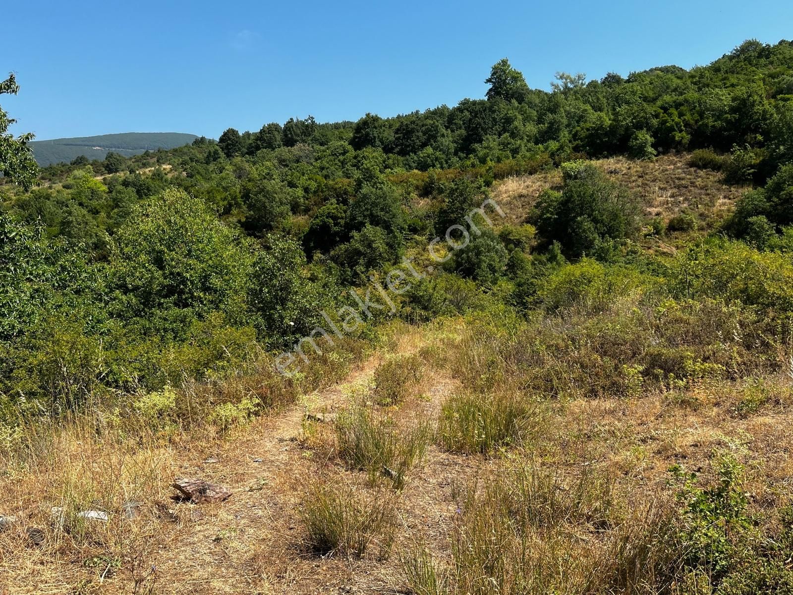 C21 Cius ; Küçük Kumla Mahallesinde 5002 M2 Satılık Tarla - Görsel 15