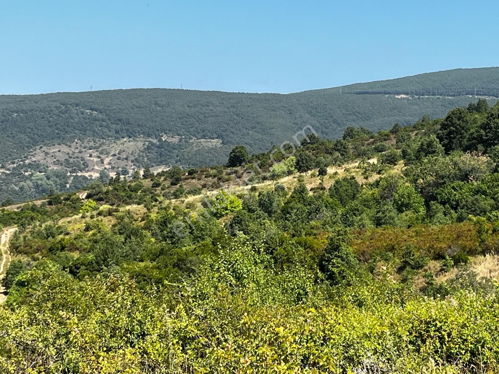 C21 Cius ; Küçük Kumla Mahallesinde 5002 M2 Satılık Tarla - Görsel 16