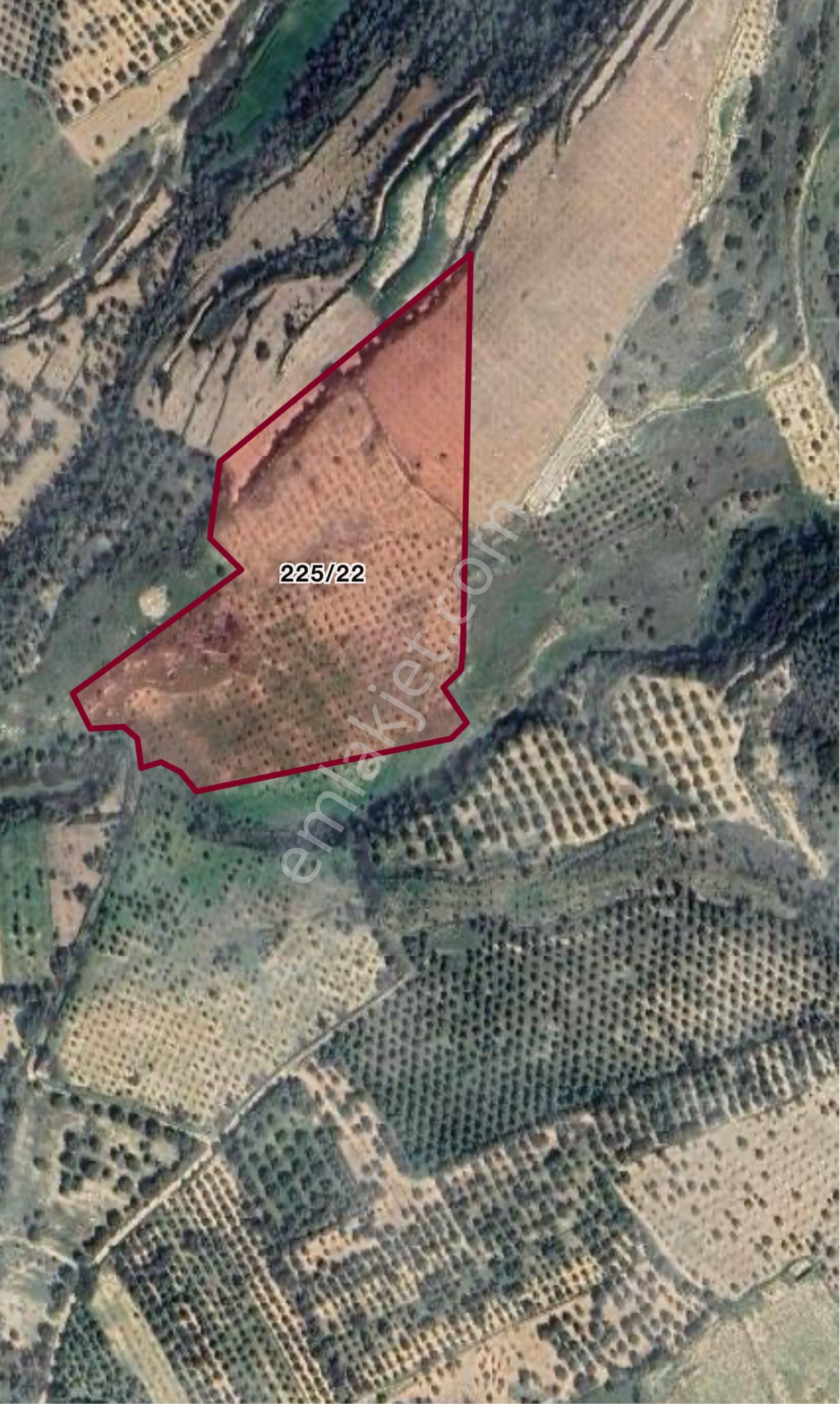 Takas Olur Süper Fırsat Tarla