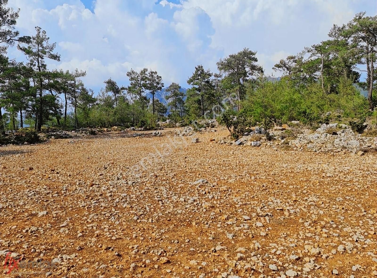 Fırsat İlanı! 5 Dönüm Deniz Manzaralı, İmarlı ,projeli Çiftlik - Görsel 27