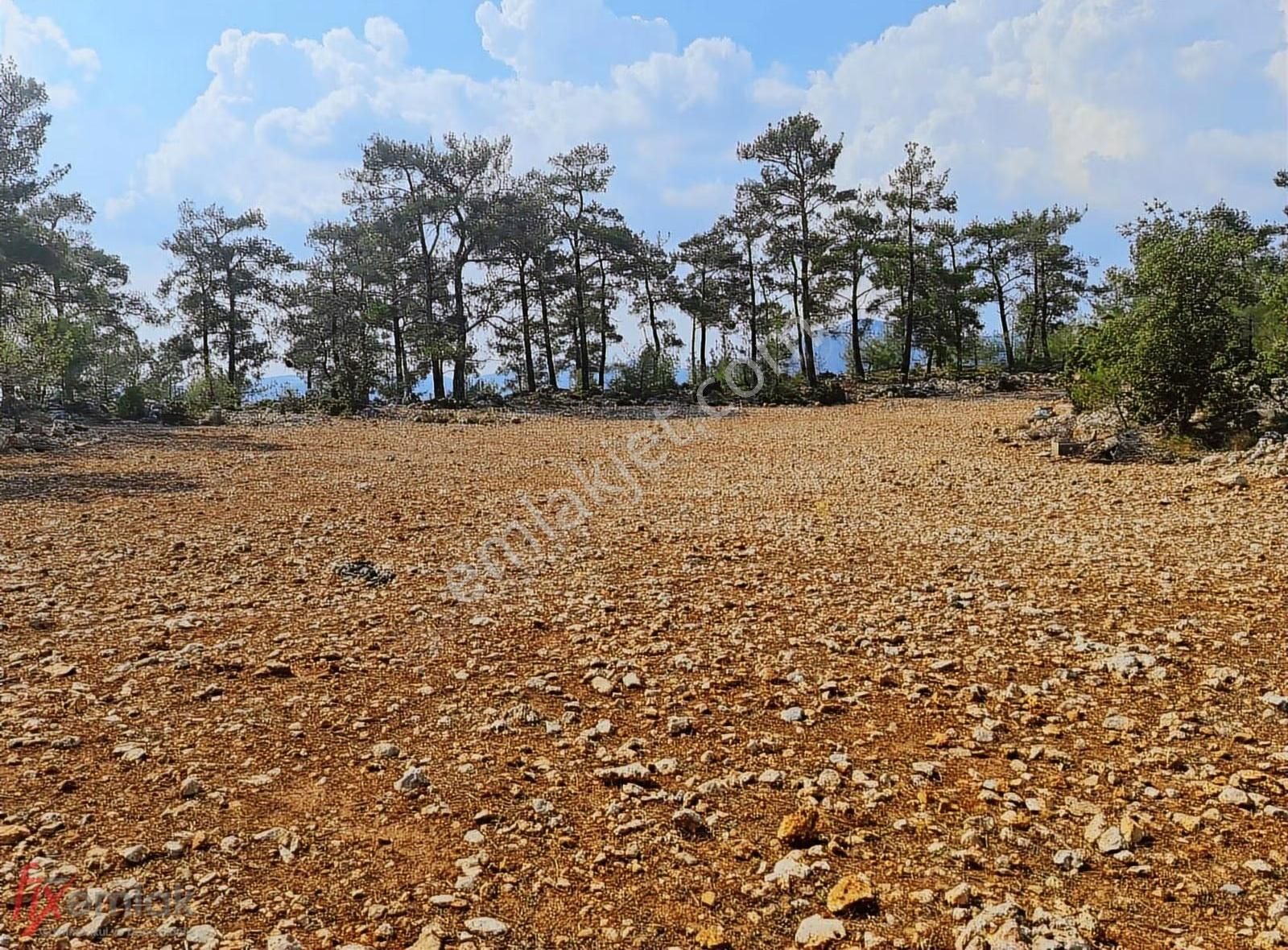 Fırsat İlanı! 5 Dönüm Deniz Manzaralı, İmarlı ,projeli Çiftlik - Görsel 4