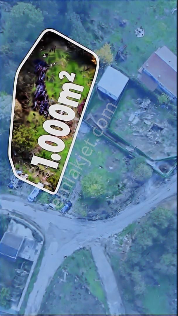 C21 Cius; Haydariye Köyünde 1000 M2 Satılık Köy İçi İmarlı Arsa - Görsel 7