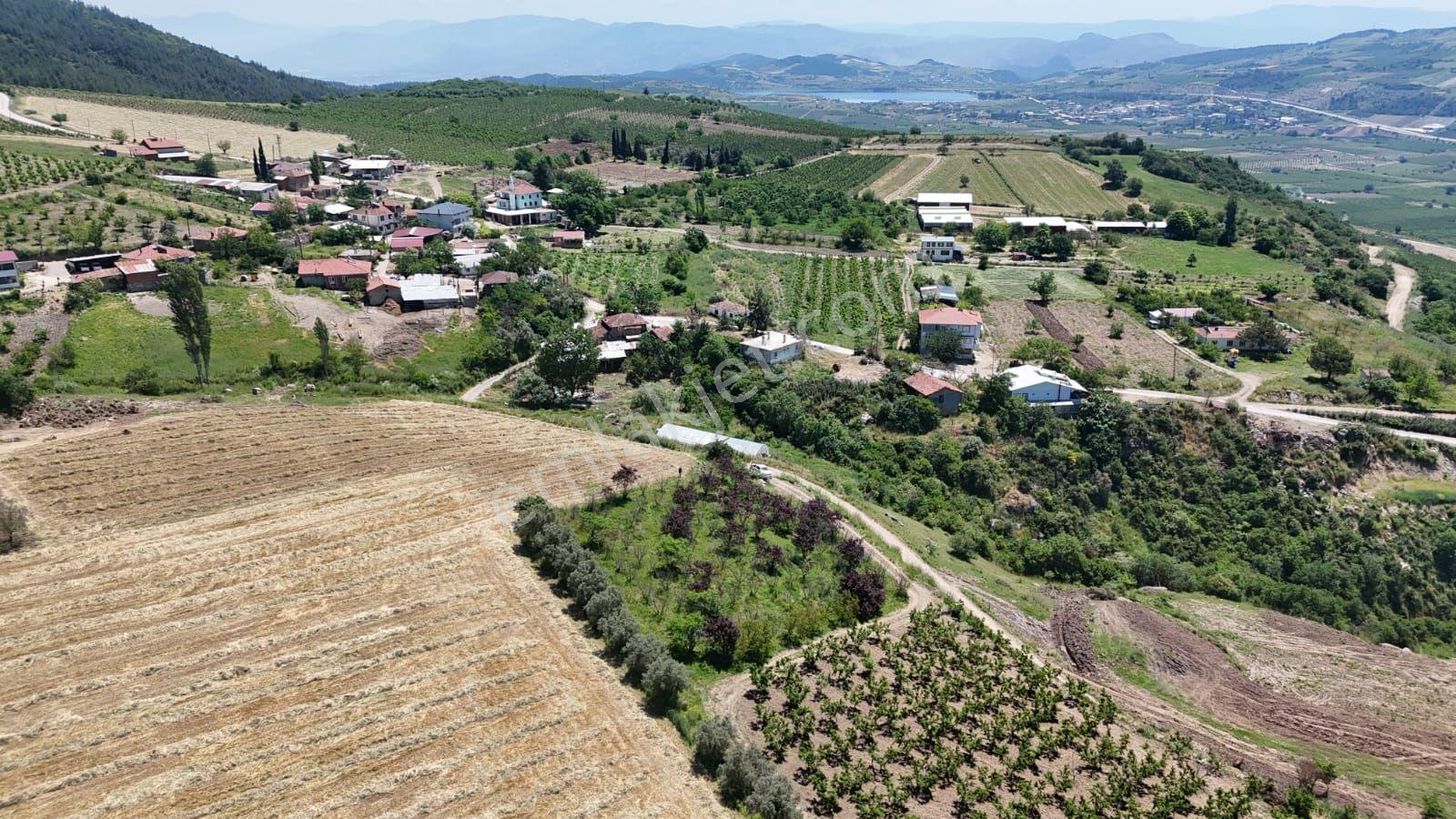 Osmanelı Sarıyazı Satılık Arsa 2 Parsel Yanyana Acil Sok Fiyat
