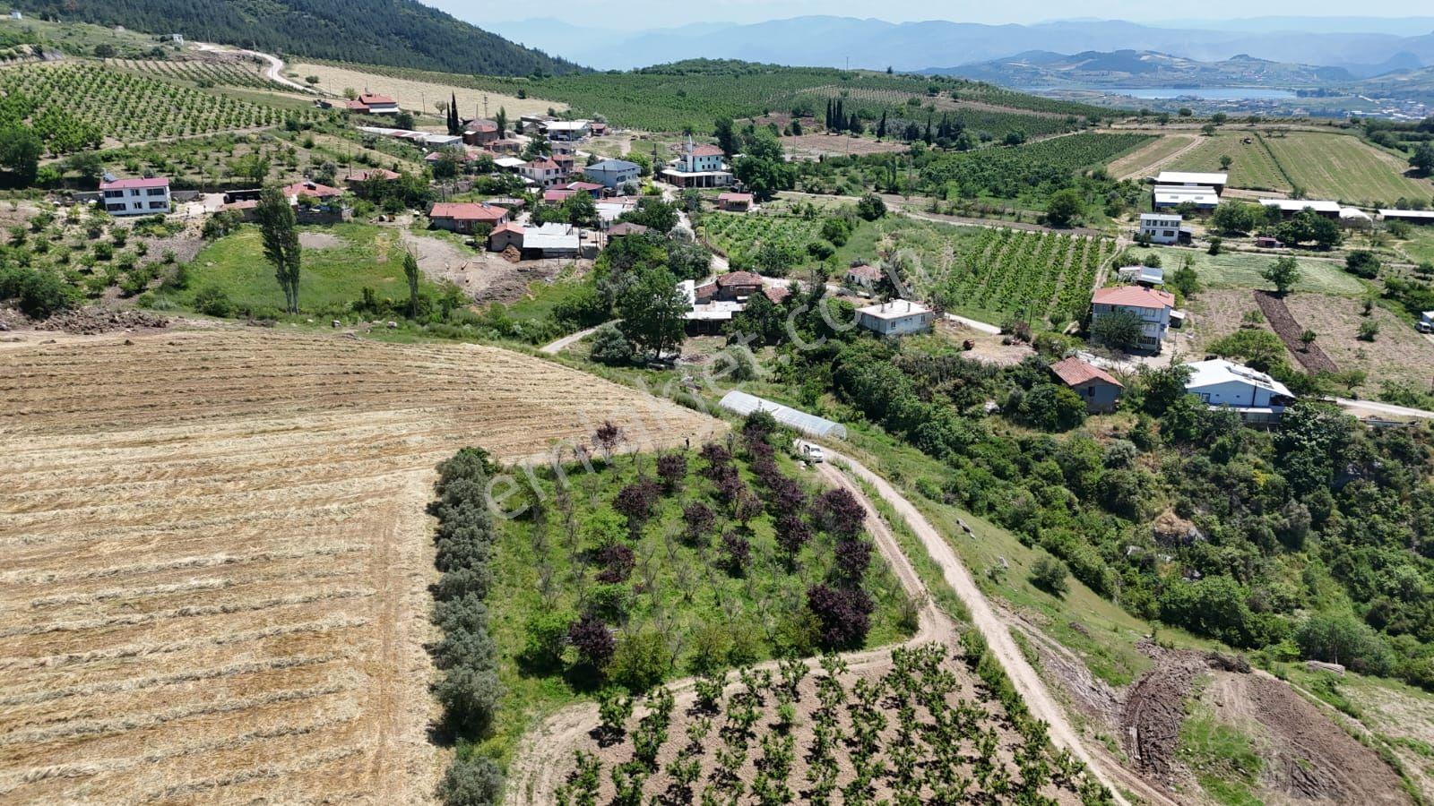 Osmanelı Sarıyazı Satılık Arsa 2 Parsel Yanyana Acil Sok Fiyat - Görsel 16