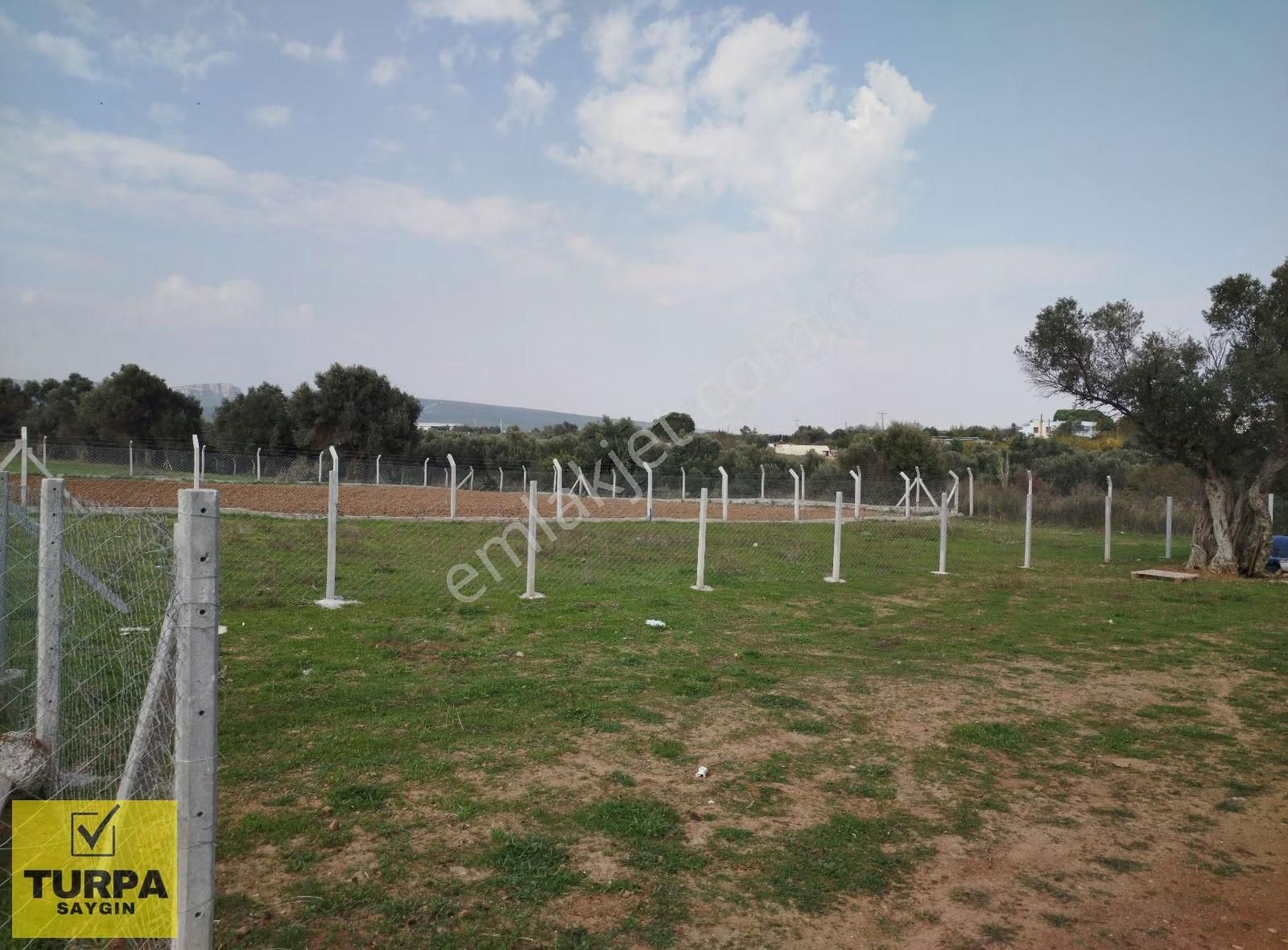 Menderes Barbaros Mahallesinde İmar Sınırda Satılık Tapulu Tarla - Görsel 6