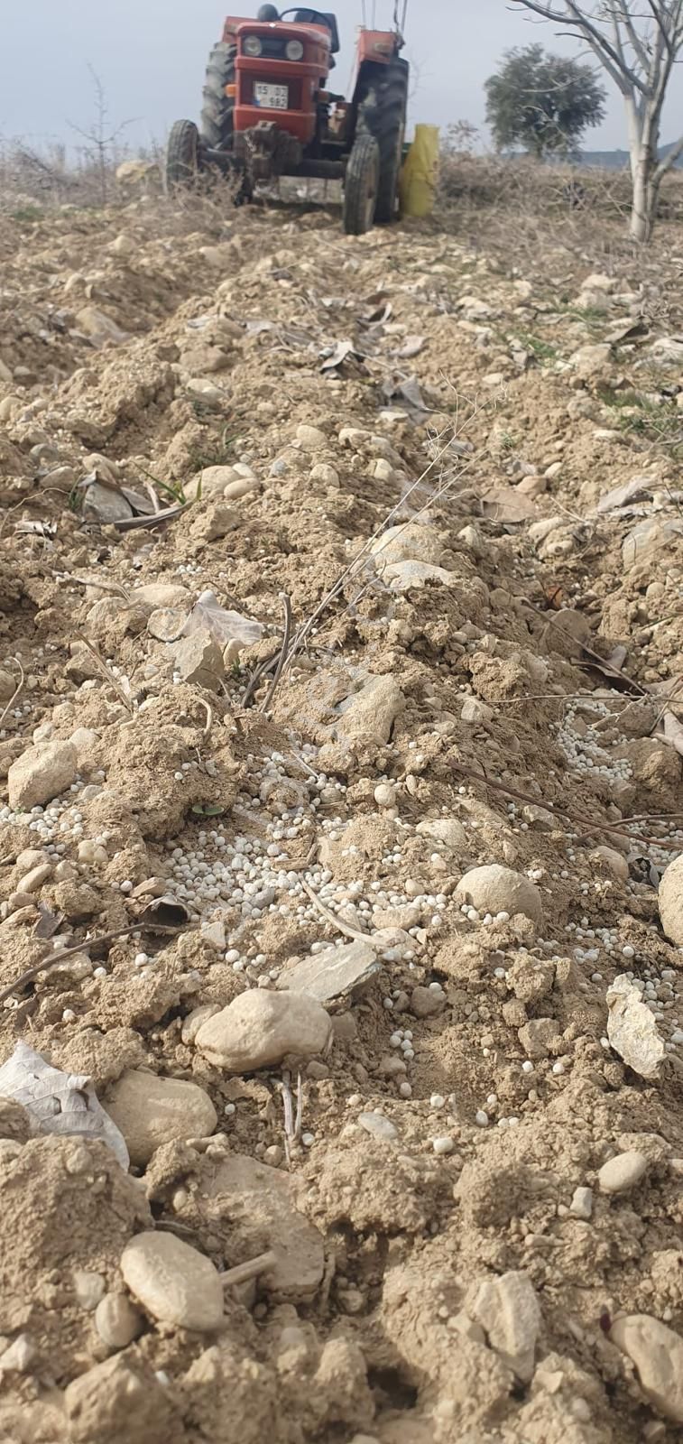 Millioğlu İnşaat'tan Burdur İlyas Köyünde Satılık Tarla - Görsel 4