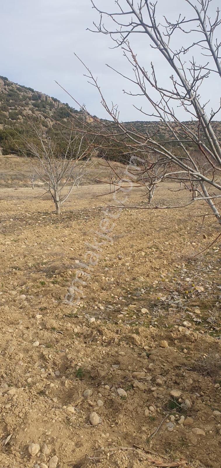 Millioğlu İnşaat'tan Burdur İlyas Köyünde Satılık Tarla - Görsel 2