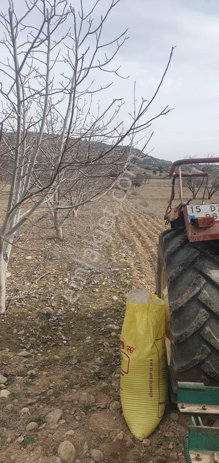 Millioğlu İnşaat'tan Burdur İlyas Köyünde Satılık Tarla - Görsel 3