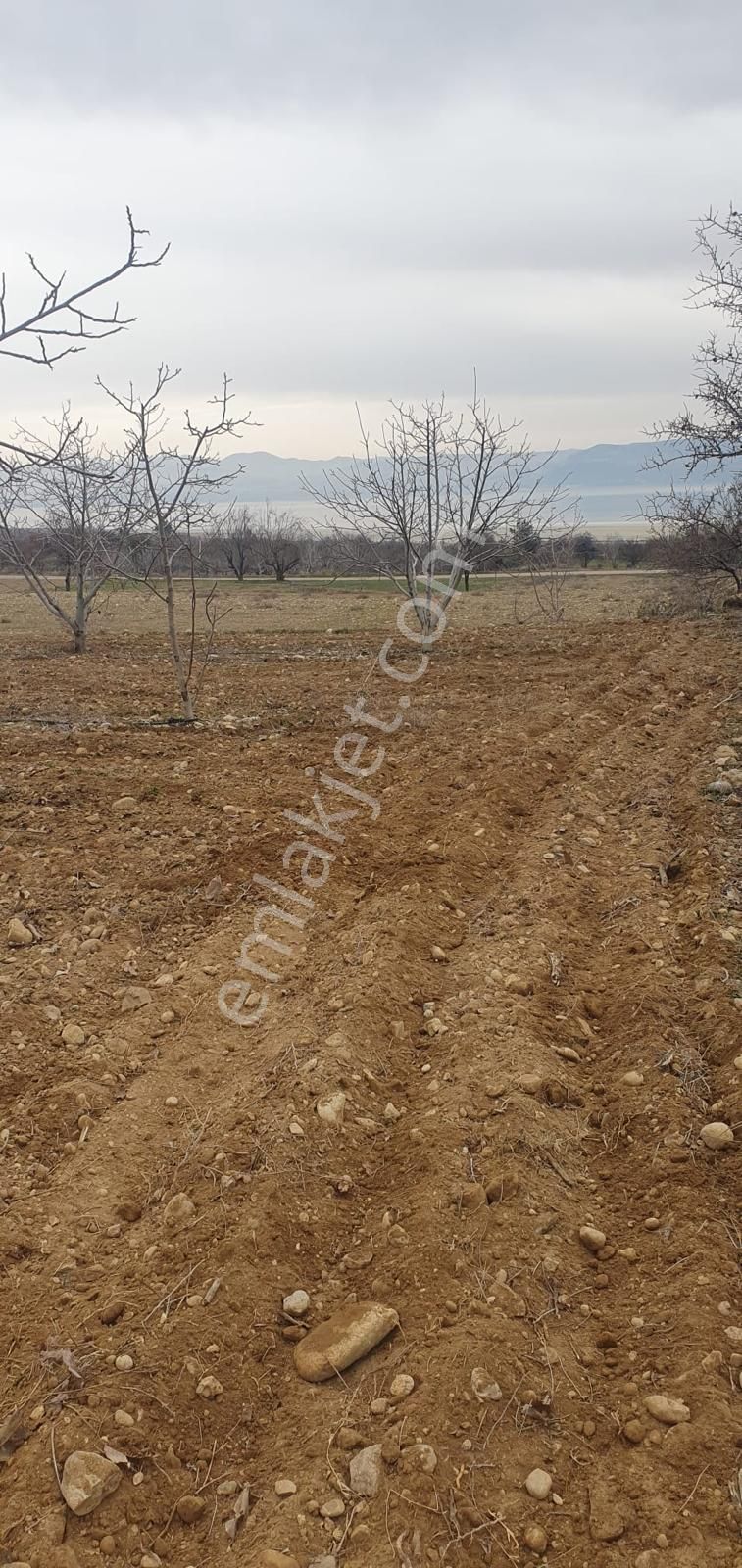 Millioğlu İnşaat'tan Burdur İlyas Köyünde Satılık Tarla - Görsel 6
