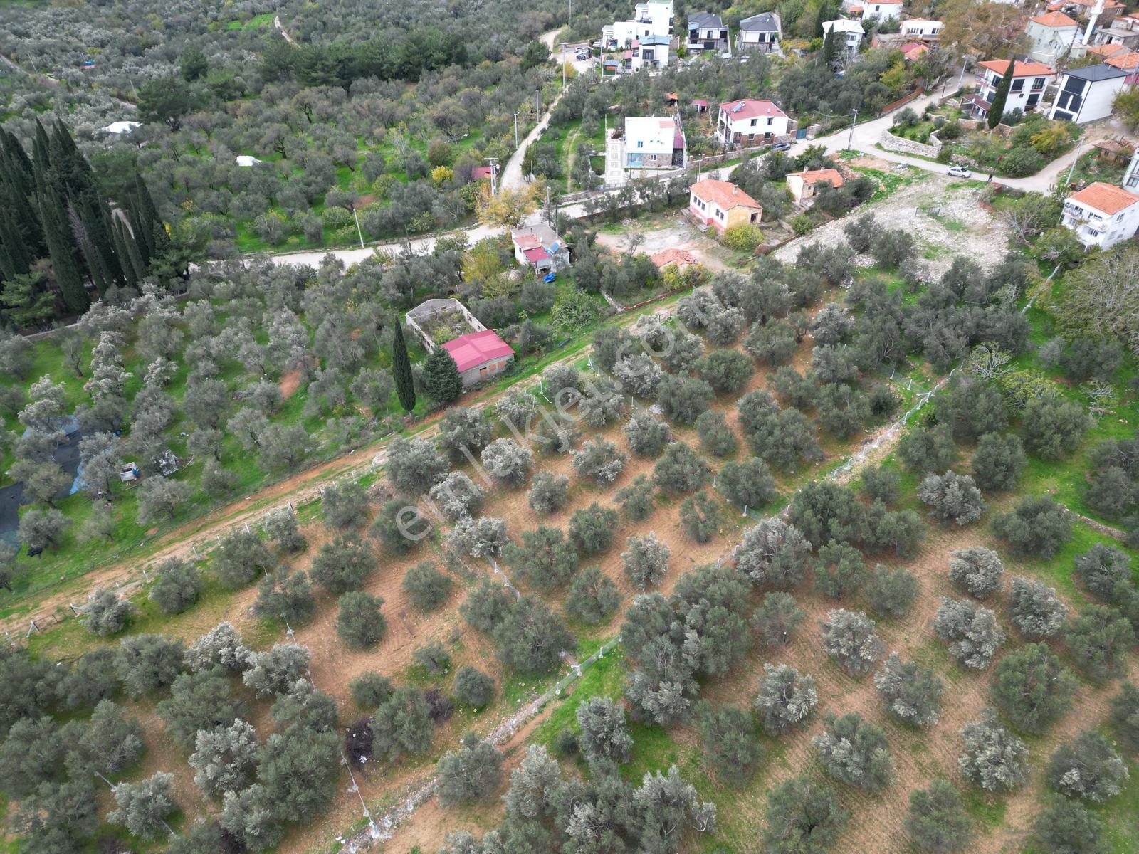 Sabri Pınarbaşı Gayrimenkul'den Edremit Beyoba'da Satılık 967m2 Arsa - Görsel 7