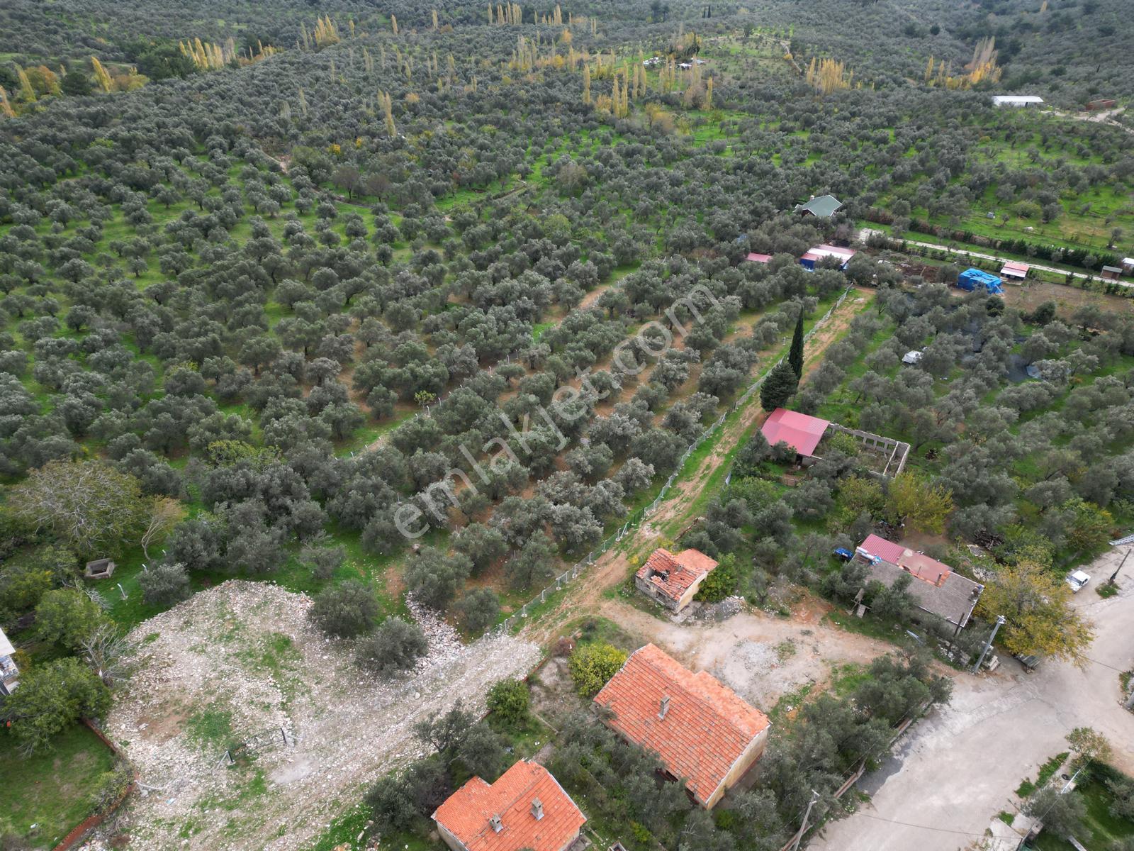 Sabri Pınarbaşı Gayrimenkul'den Edremit Beyoba'da Satılık 967m2 Arsa - Görsel 16