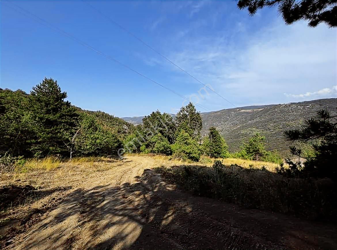 Cb Black'ten Doğancı Satılık Manzaralı 9342m2 Arazi - Görsel 2