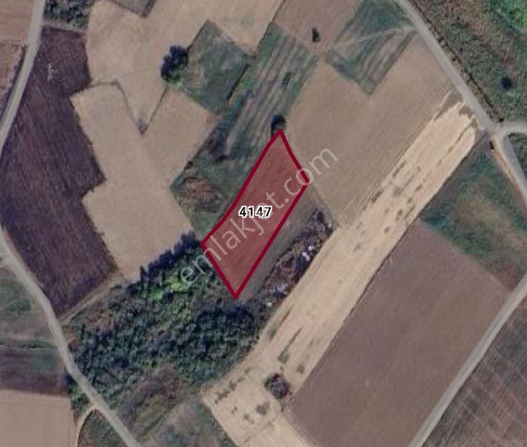 Cb Black'tan Karacabey Harmanlı'da 3800 M2 Satılık Tarla