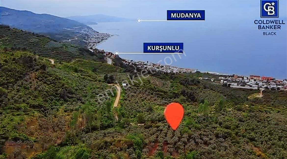Cb Black Kurşunlu Satılık Deniz Manzaralı 3947m2 Arazi - Görsel 6