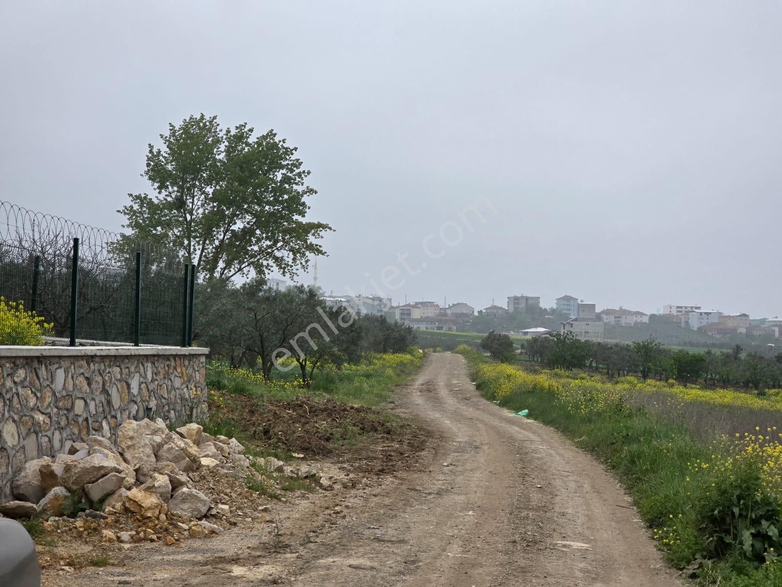 Mudanya Ülkü Köy'de Köye Yakın 2000m2 Yeri Belli Hobi Bahçesi - Görsel 4