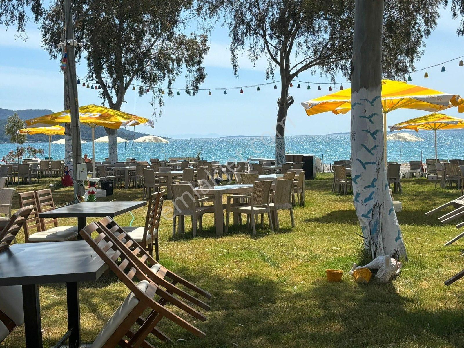 Akbük Te Denize Sıfır Beach Ve Restaurant - Görsel 34