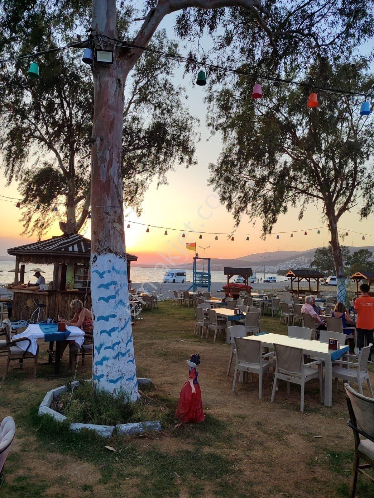 Akbük Te Denize Sıfır Beach Ve Restaurant - Görsel 20