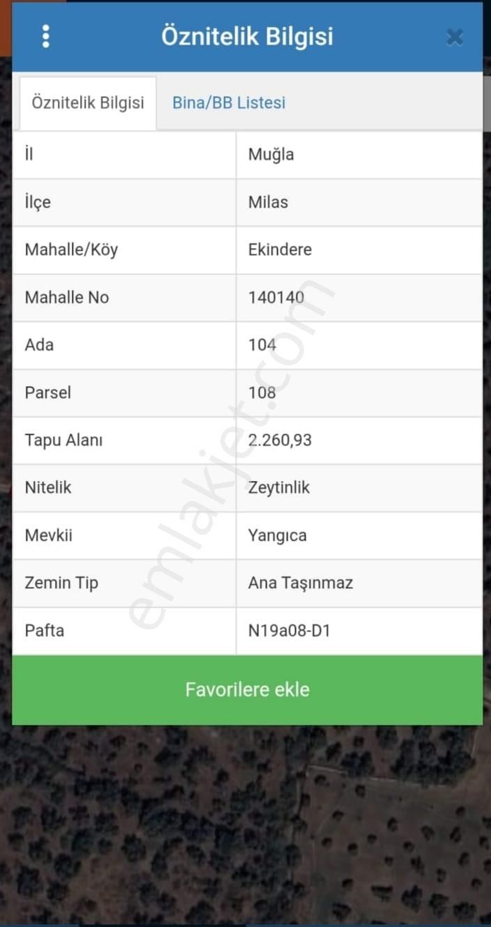 Muğla Milas Ekindere'de Satılık Zeytinlik Tarla