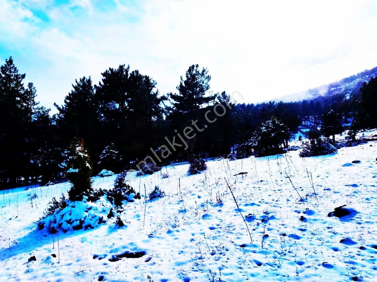 Kar Emlaktan Yenikonacık Bozkırlı Mevkiinde 400 M2 İmarlı İfrazlı Satılık Arsa - Görsel 19