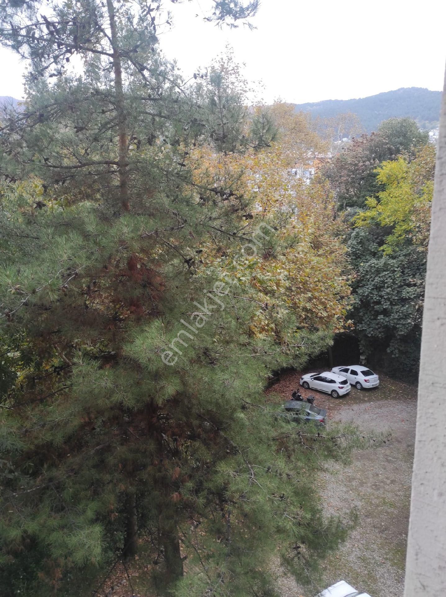 Bengisu Gayrimenkul Den Kıralık Ofıs - Görsel 7