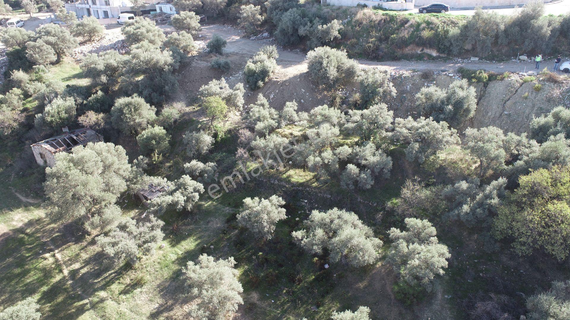Kuşadası Değirmendere Satılık Arsa - Görsel 8