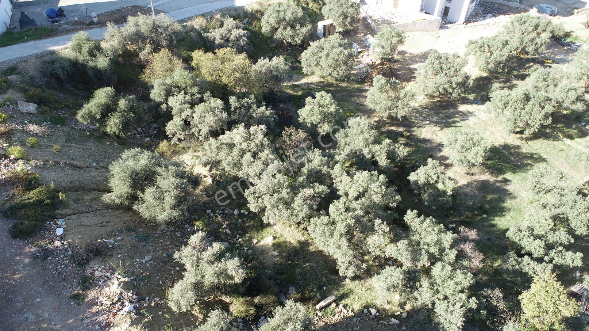 Kuşadası Değirmendere Satılık Arsa - Görsel 6