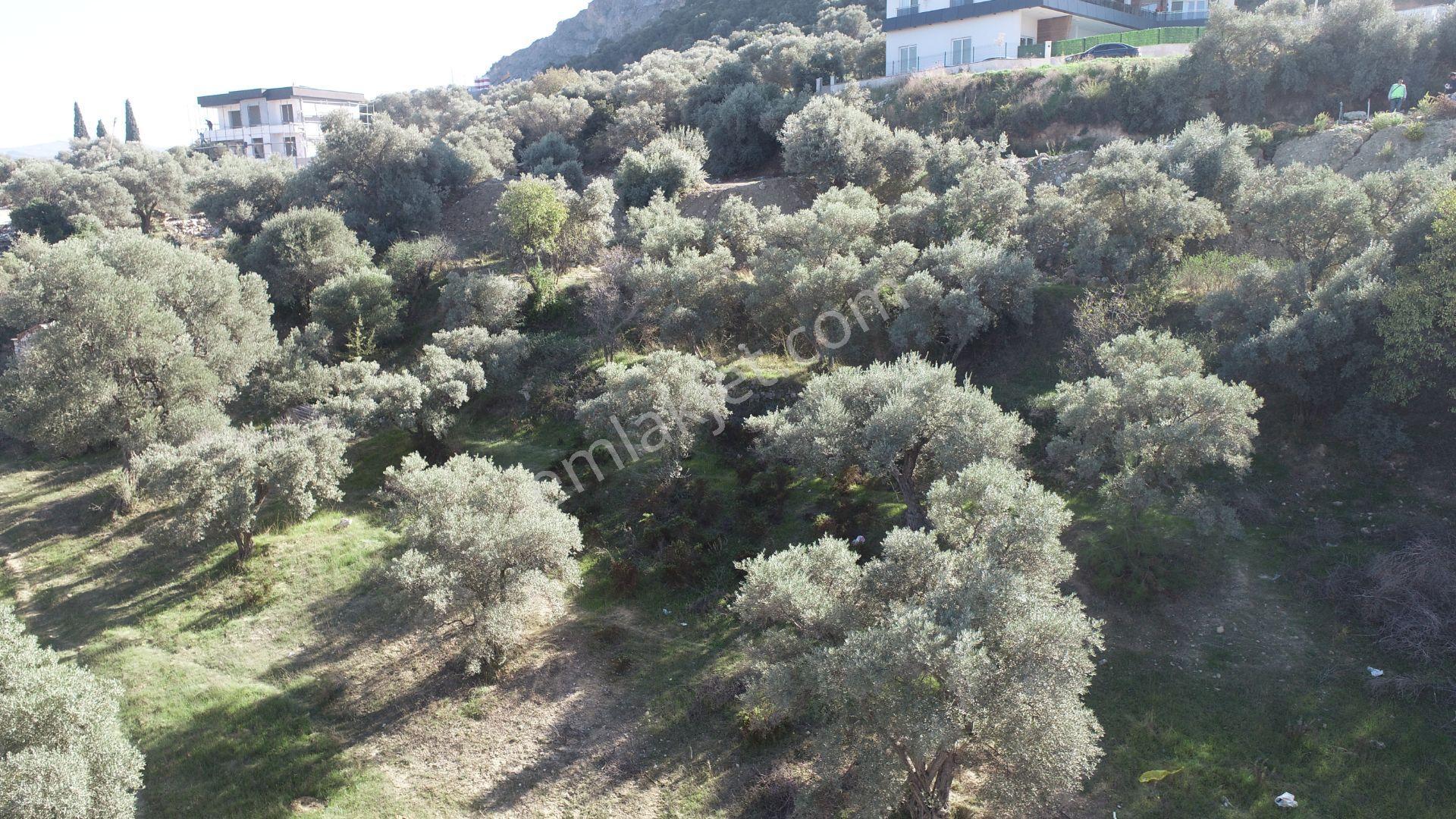 Kuşadası Değirmendere Satılık Arsa - Görsel 9