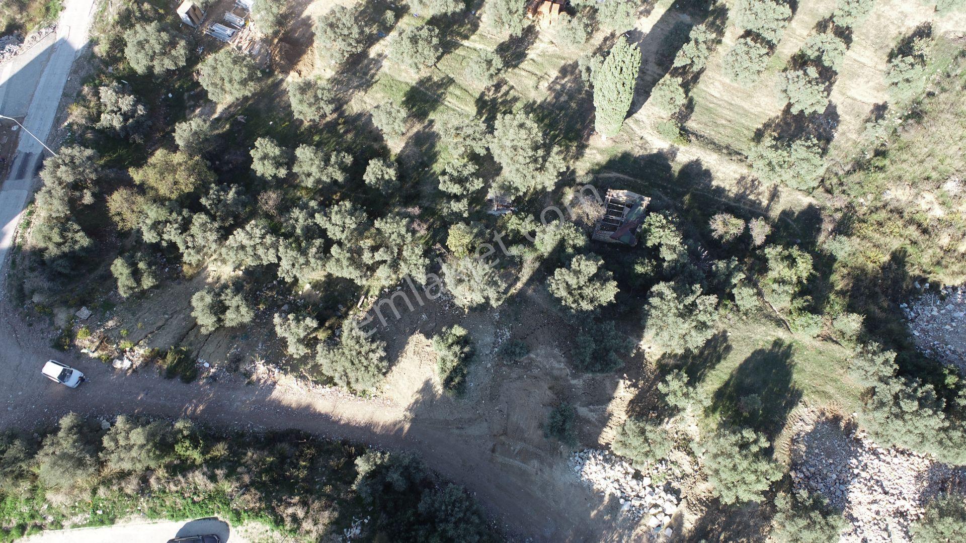 Kuşadası Değirmendere Satılık Arsa - Görsel 4