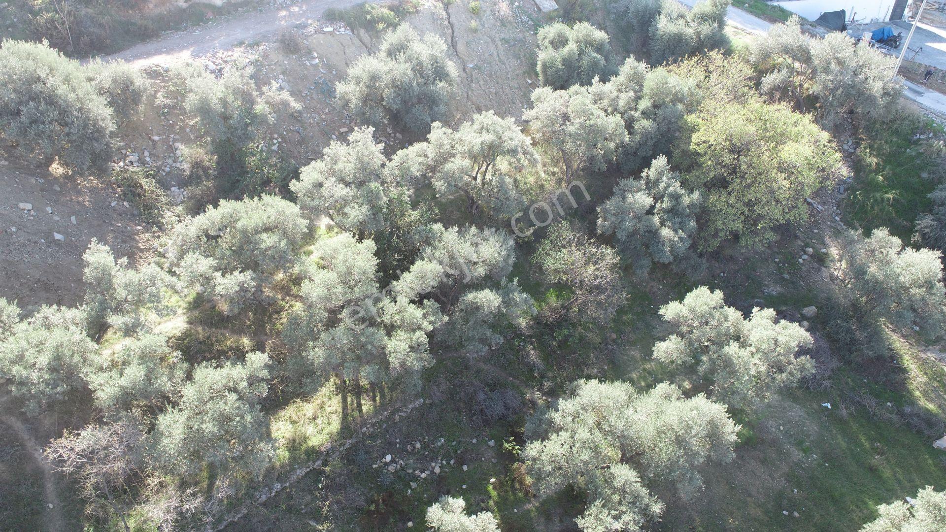 Kuşadası Değirmendere Satılık Arsa - Görsel 10