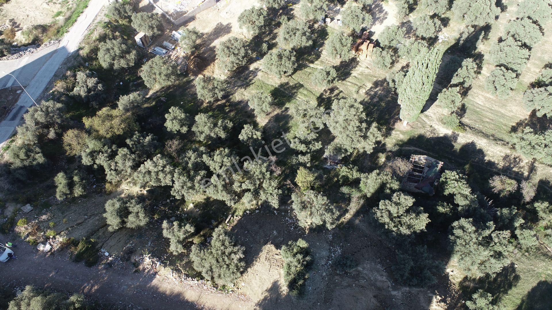 Kuşadası Değirmendere Satılık Arsa - Görsel 5