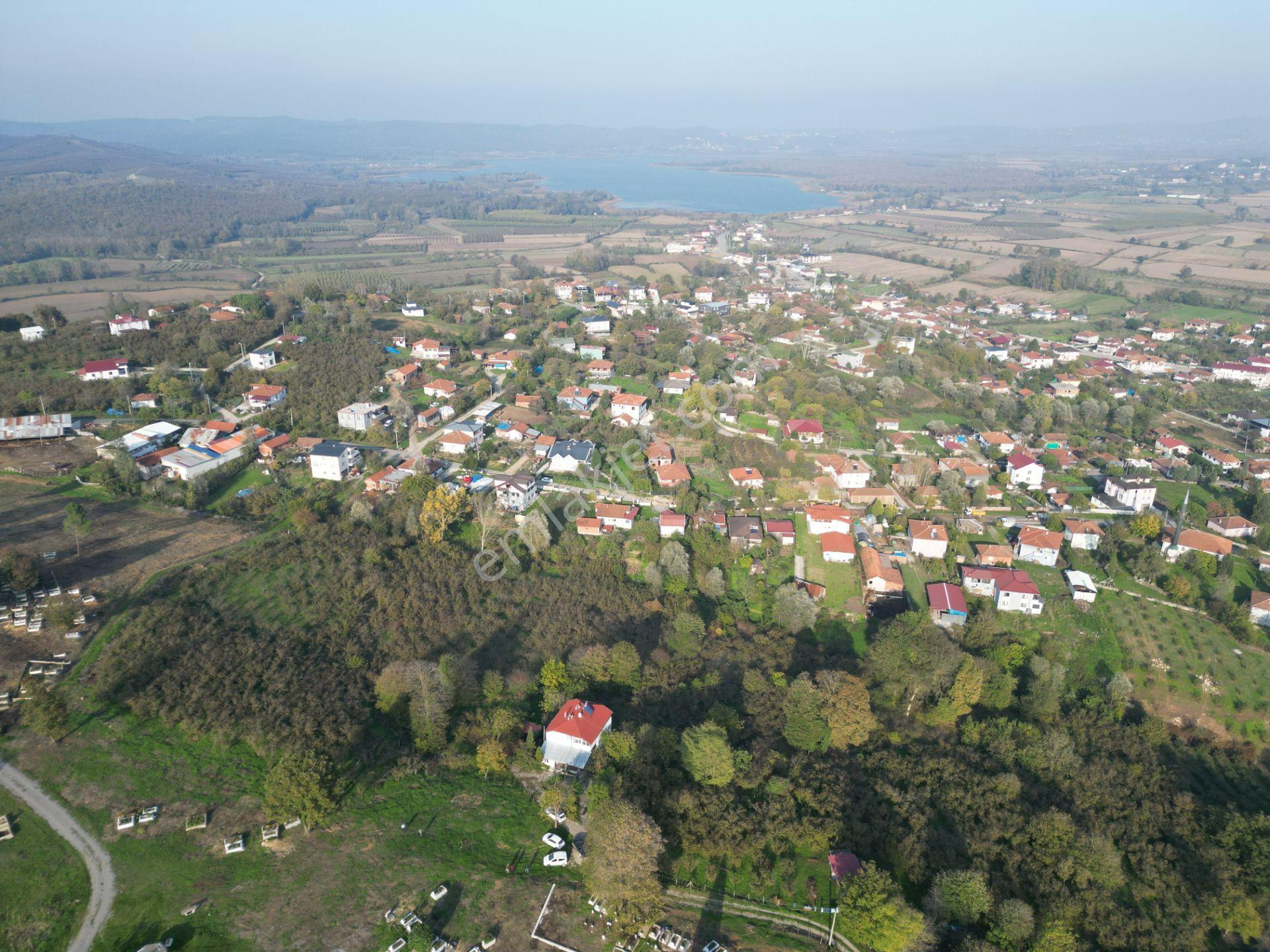 Gölkent Merkezde 6.817 M² Konut İmarlı Arsa + Fındık Bahçesi