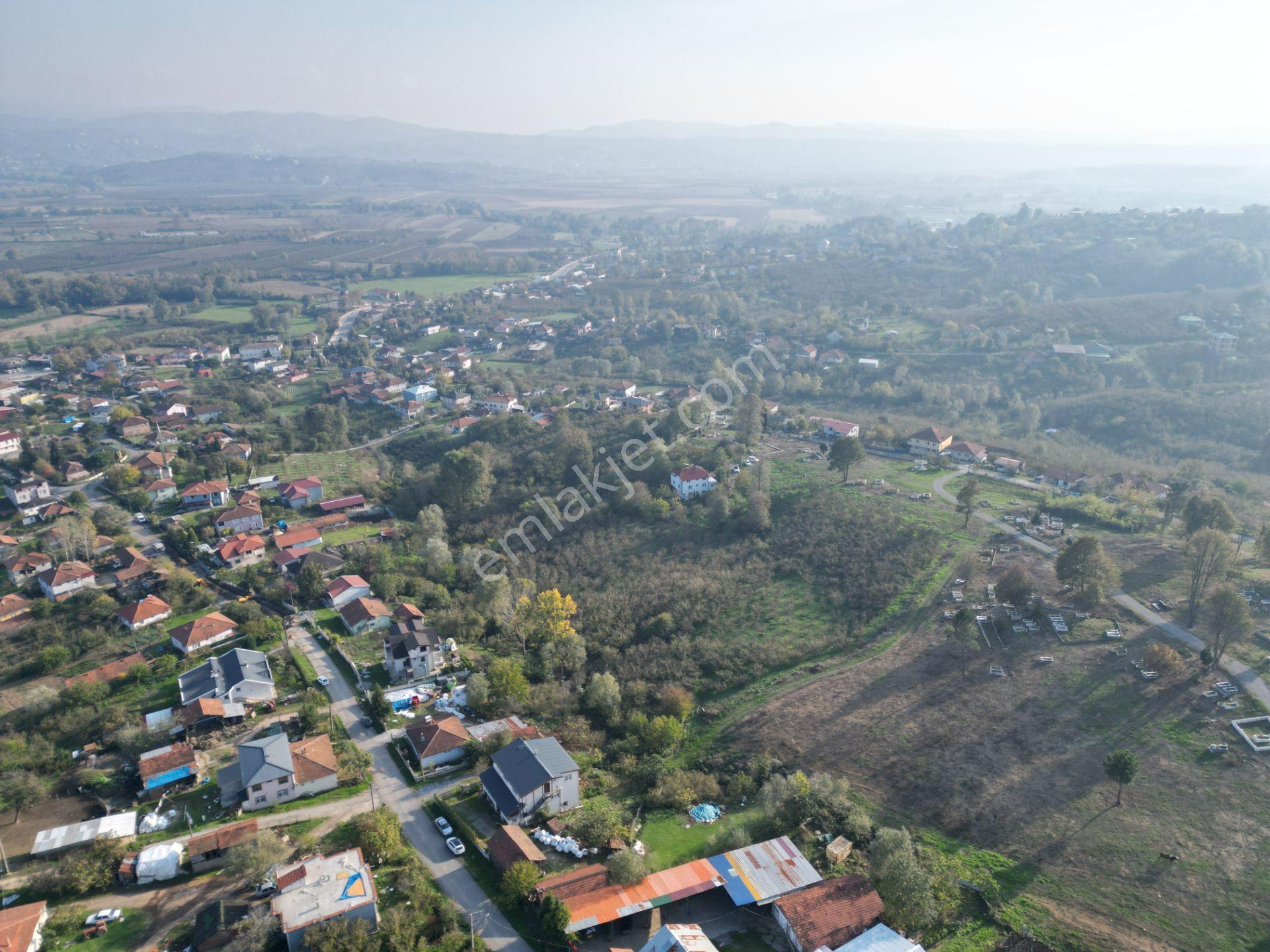 Gölkent Merkezde 6.817 M² Konut İmarlı Arsa + Fındık Bahçesi - Görsel 24