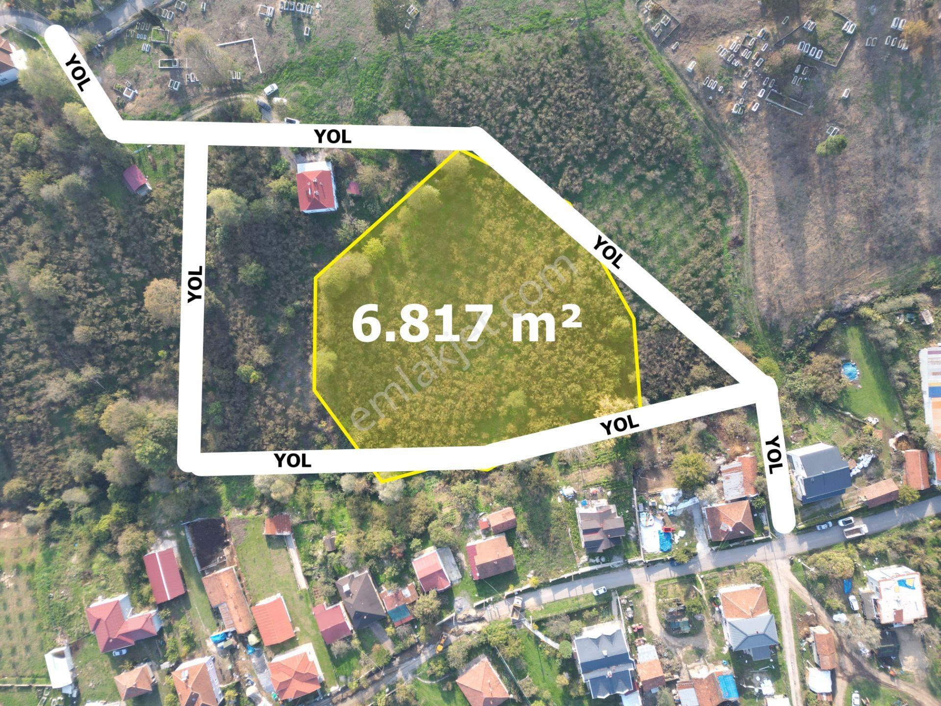 Gölkent Merkezde 6.817 M² Konut İmarlı Arsa + Fındık Bahçesi - Görsel 11