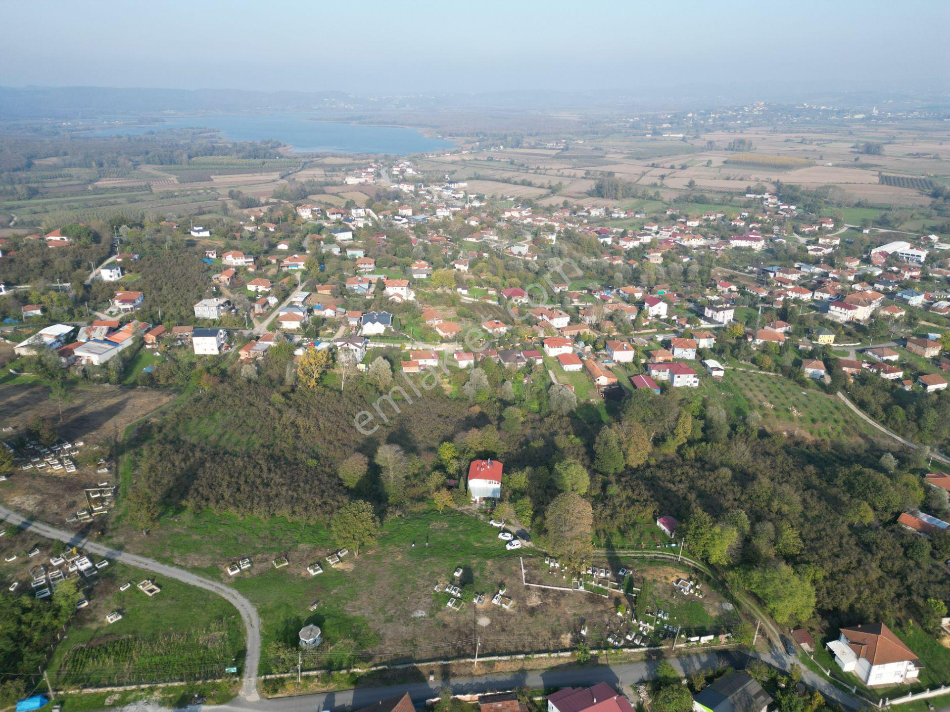 Gölkent Merkezde 6.817 M² Konut İmarlı Arsa + Fındık Bahçesi - Görsel 27
