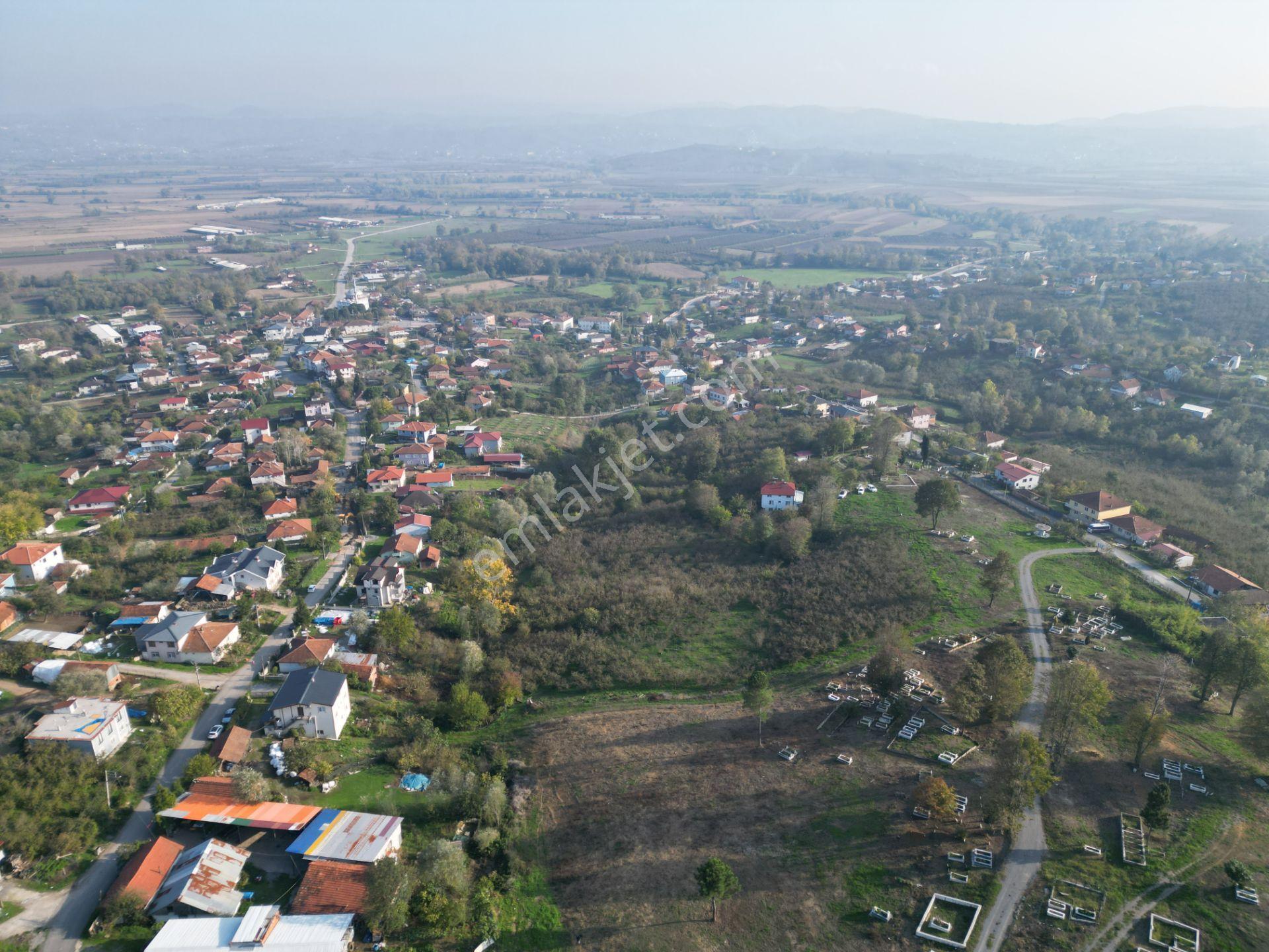 Gölkent Merkezde 6.817 M² Konut İmarlı Arsa + Fındık Bahçesi - Görsel 25