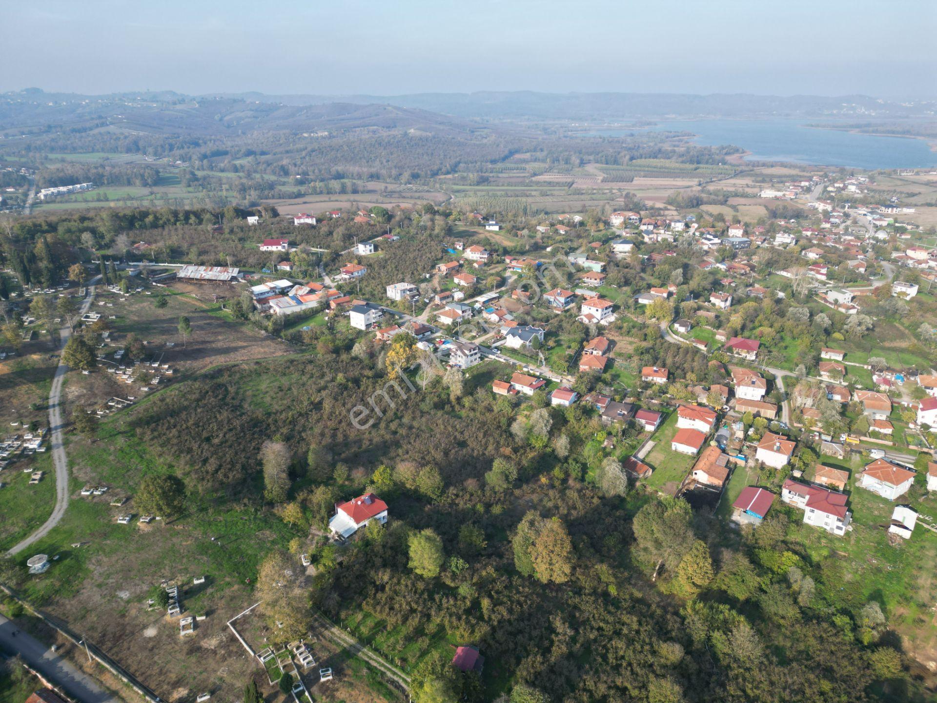 Gölkent Merkezde 6.817 M² Konut İmarlı Arsa + Fındık Bahçesi - Görsel 22