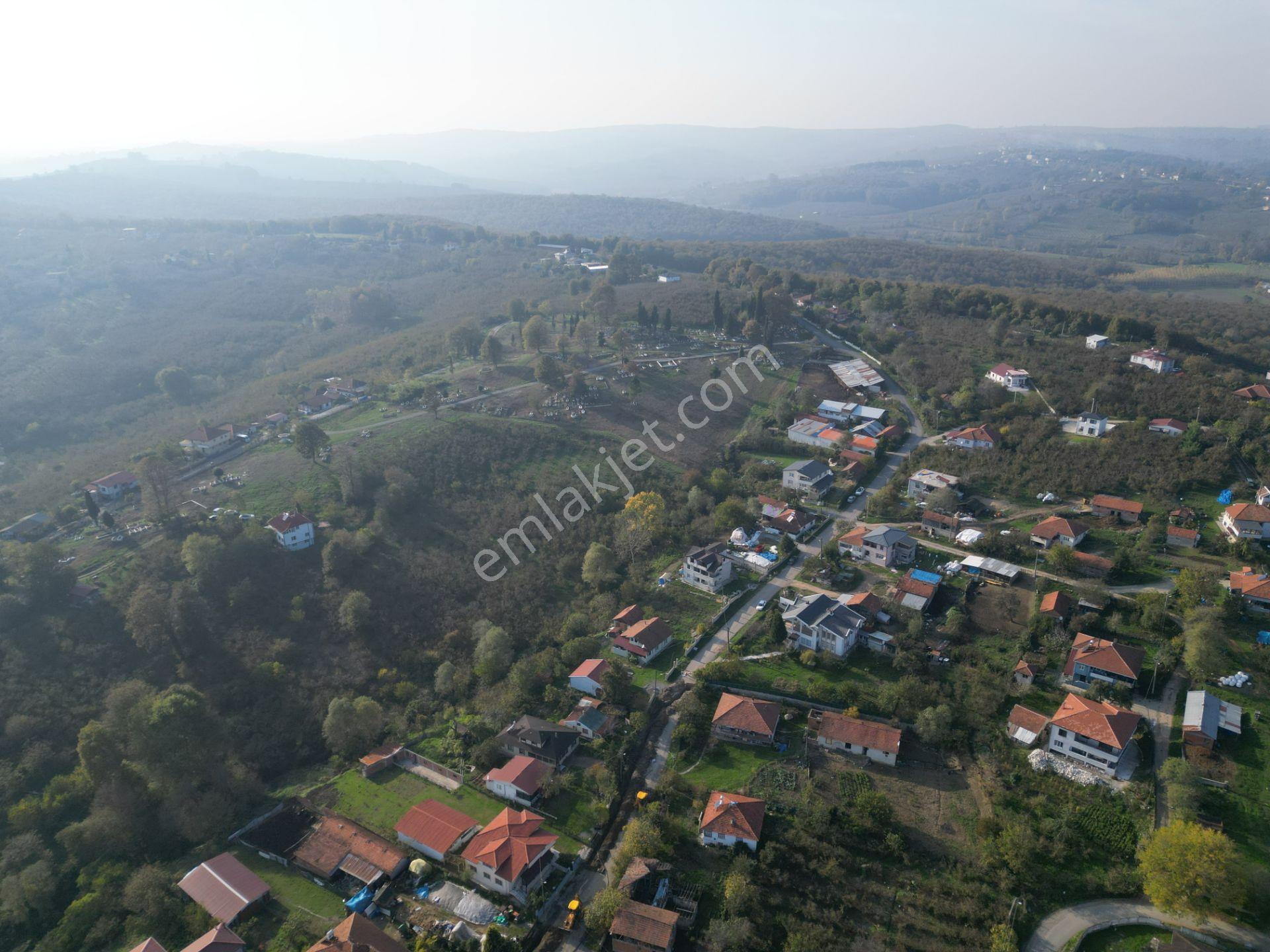 Gölkent Merkezde 6.817 M² Konut İmarlı Arsa + Fındık Bahçesi - Görsel 23