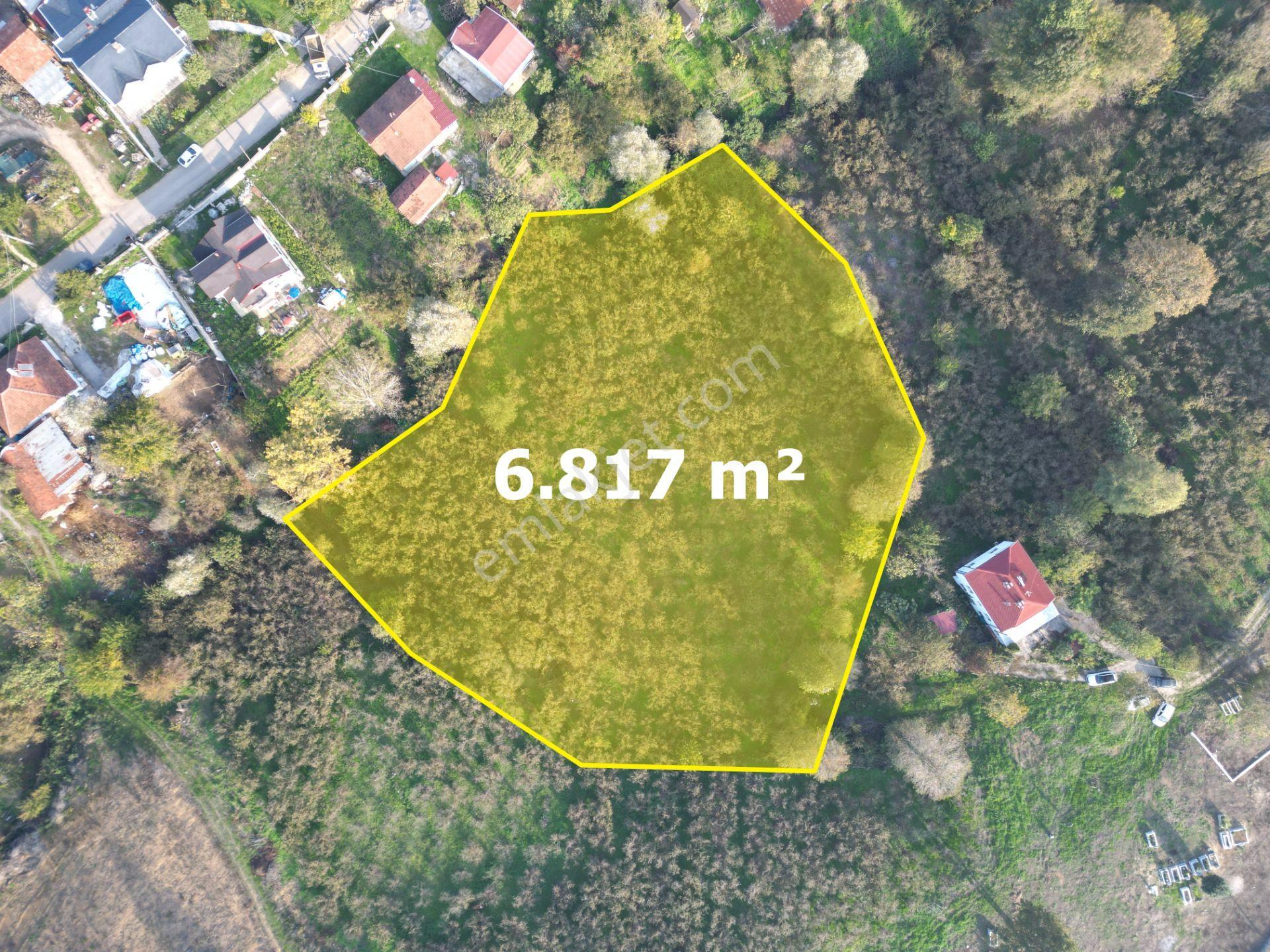 Gölkent Merkezde 6.817 M² Konut İmarlı Arsa + Fındık Bahçesi - Görsel 9