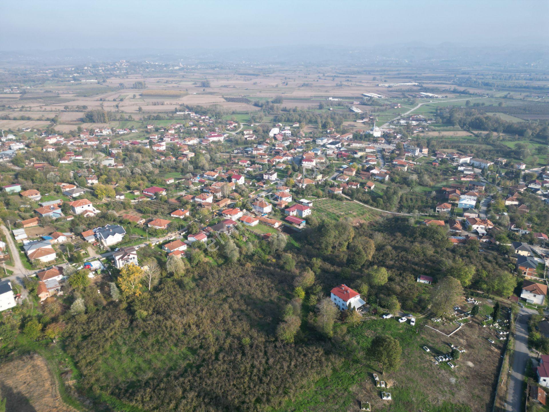 Gölkent Merkezde 6.817 M² Konut İmarlı Arsa + Fındık Bahçesi - Görsel 7