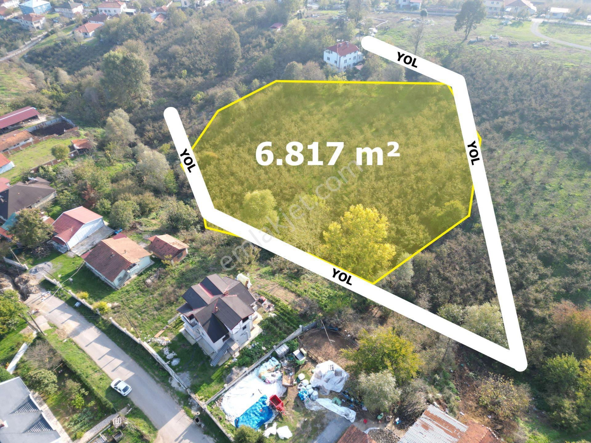 Gölkent Merkezde 6.817 M² Konut İmarlı Arsa + Fındık Bahçesi - Görsel 2